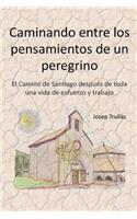 Caminando entre los pensamientos de un peregrino