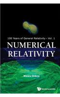 Numerical Relativity