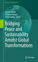 Bridging Peace and Sustainability Amidst Global Transformations