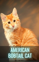 American Bobtail Cat