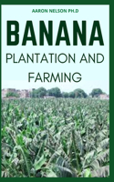 Banana Plantation and Farming: Beginners Guide to Know the Agricultural Basics and Benefits on Banana Plantation