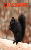 Black Squirrel: Fun Learning Facts About Black Squirrel