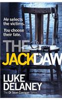 Jackdaw