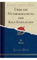 ï¿½ber Die Nutzbarmachung Der Kali-Endlaugen (Classic Reprint)