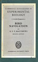 Bird Navigation