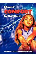 I Found Comfort In The Storm