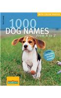 1000 Dog Names from A-Z