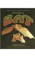The Life Cycle of a Bat: (Life Cycle)