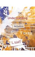 Understanding Between Foxes and Light