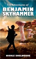 Adventures of Benjamin Skyhammer