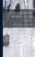 Picture Book of Evolution
