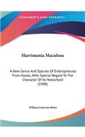 Harrimania Maculosa: A New Genus and Species of Enteropneusta from Alaska, with Special Regard to the Character of Its Notochord (1900)