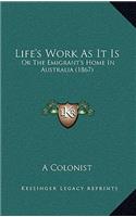 Life's Work as It Is: Or the Emigrant's Home in Australia (1867)