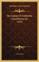 The Anatomy Of Amblychila Cylindriformis Say. (1879)