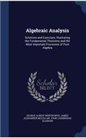 Algebraic Analysis