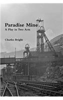 Paradise Mine