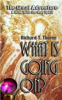 What Is Going On?: The Great Adventure - A Walk With the Holy Spirit