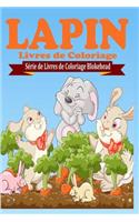 Lapin Livres de Coloriage