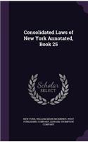 Consolidated Laws of New York Annotated, Book 25