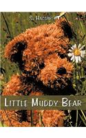 Little Muddy Bear