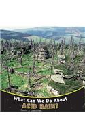 What Can We Do about Acid Rain?