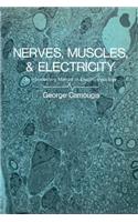 Nerves, Muscles, and Electricity: An Introductory Manual of Electrophysiology: (English)