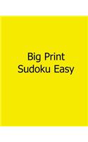 Big Print Sudoku Easy: Fun, Large Grid Sudoku Puzzles