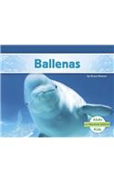 Ballenas