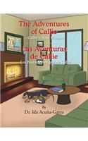 The Adventures of Callie - Callie's New Friends: Las Aventuras de Callie - Los Nuevos Amigos de Callie(English)