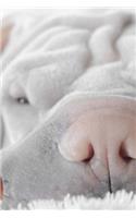 Sweet Face of a Snoozing Shar Pei Puppy Dog Journal