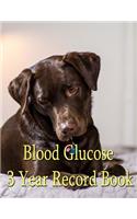 Blood Glucose 3 Year Record Book