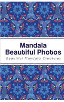 Mandala Beautiful Photos