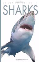 Sharks: (Amazing Animals)