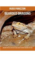 Bearded Dragons