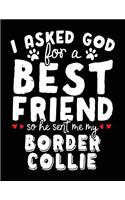 I Asked God For A Best Friend So He Sent Me My Border Collie