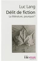 Delit de Fiction