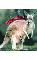 Les Marsupiaux