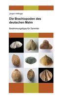 Brachiopoden des deutschen Malm