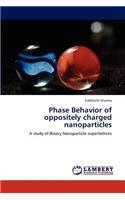 Phase Behavior of oppositely charged nanoparticles