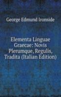 Elementa Linguae Graecae: Novis Plerumque, Regulis, Tradita (Italian Edition)