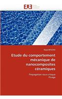 Etude Du Comportement M�canique de Nanocomposites C�ramiques