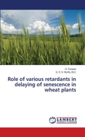 Role of various retardants in delaying of senescence in wheat plants