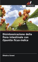 Disintossicazione della flora intestinale con Opuntia ficus-indica