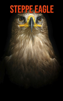 Steppe Eagle: Fun Facts & Cool Pictures