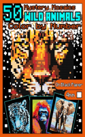 Mystery Mosaics Color by Number