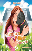 The Adventures of Willow