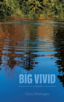 Big Vivid