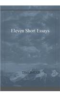 Eleven Short Essays