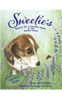 Sweetie's Search for a Forever Home in the Garden State