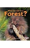 What Can Live in a Forest?: (First Step Nonfiction)
